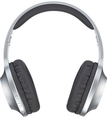 Навушники Panasonic RB-HX220BEE-S