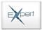 Expert logo