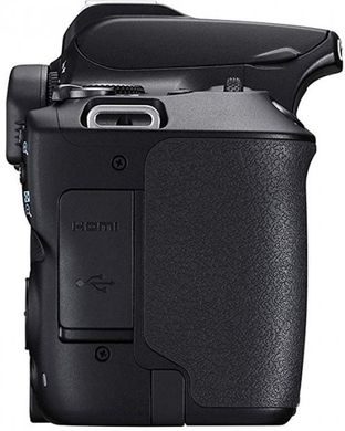 Цифровая зеркальная фотокамера Canon EOS 250D kit 18-55 DC III Black