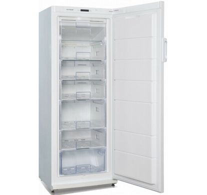 Холодильник Snaige F27FG-T1000G