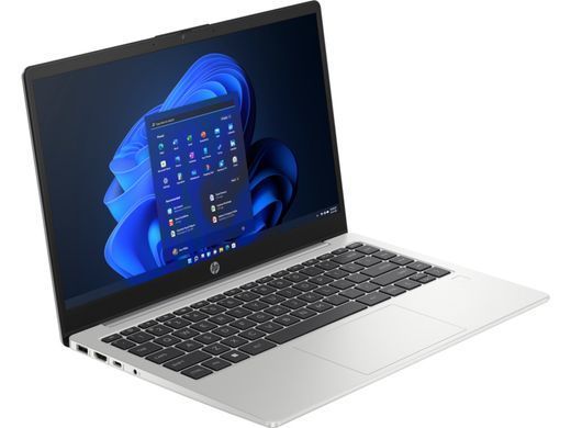 Ноутбук HP 245-G10 Turbo Silver (A3DU5ES)