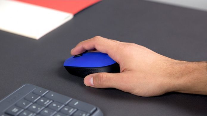 Мышь LogITech Wireless Mouse M171 Black (6270804)