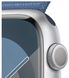 Смарт часы Apple Watch S9 41mm Silver Alum Case with Winter Blue Sp/Loop фото 3