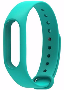 Ремешок Xiaomi Mi Band 2 Mint
