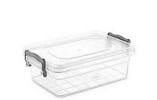Контейнер Violet House 0457 Family Box, 0.3 л