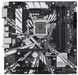 Материнская плата Asus Prime Z390M-Plus (s1151, Intel Z390, PCI-Ex16) фото 1