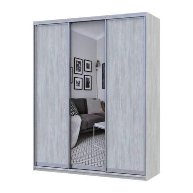 Шкаф купе Doros Сити Лайт Сосна Натти 2 ДСП / 1 зеркало 225х60х225 (DRS-011973)