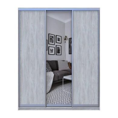 Шкаф купе Doros Сити Лайт Сосна Натти 2 ДСП / 1 зеркало 225х60х225 (DRS-011973)