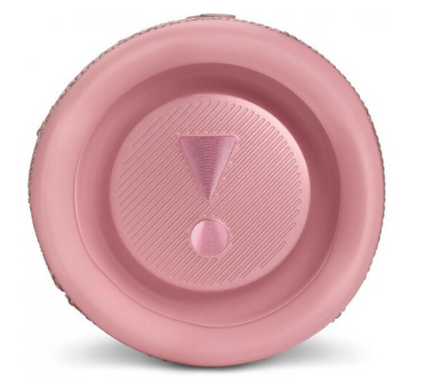 Портативна акустика JBL FLIP 6 (JBLFLIP6PINK) Pink