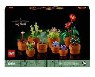 Конструктор LEGO Icons Botanicals Маленькие цветы