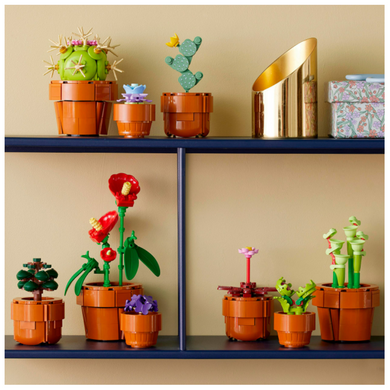 Конструктор LEGO Icons Botanicals Маленькие цветы