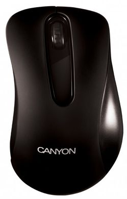 Комп'ютерна миша Canyon CNE-CMS2B Black USB
