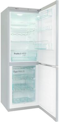 Холодильник Snaige RF53SM-S5DP210D91Z1C5SNBX