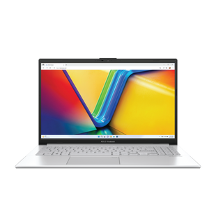 Ноутбук Asus E1504FA-BQ120