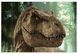 Пазл мини Dodo Jurassic Park, 35 шт (200393) фото 3