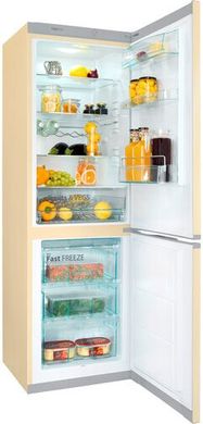 Холодильник Snaige RF56SM-S5DP210D91Z1C5SNBX