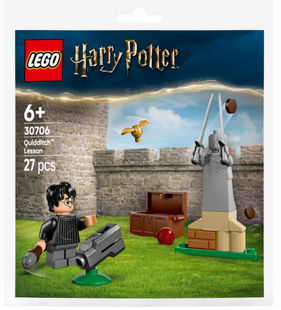 Конструктор LEGO recruitment Harry Potter Урок по Квиддичу