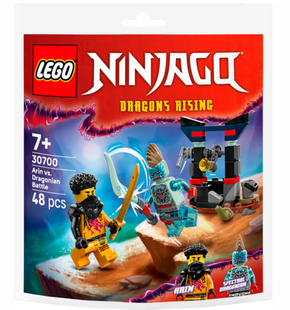 Конструктор LEGO recruitment Ninjago Арин против Дракона: Битва