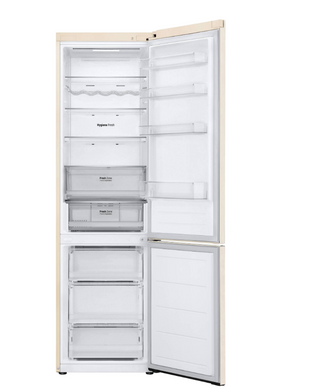 Холодильник LG GC-B509FEMW
