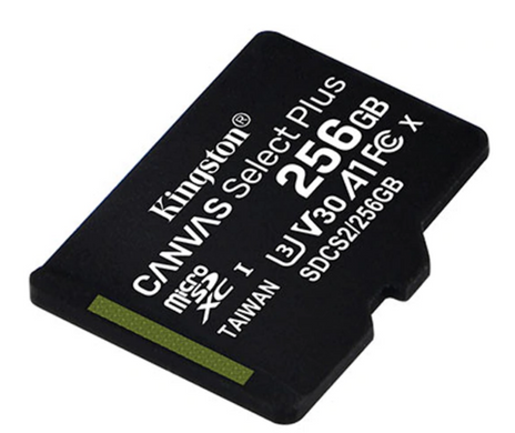 Карта пам'яті Kingston microSDXC 256GB C10 UHS-I Canvas Select Plus (SDCS2/256GBSP)