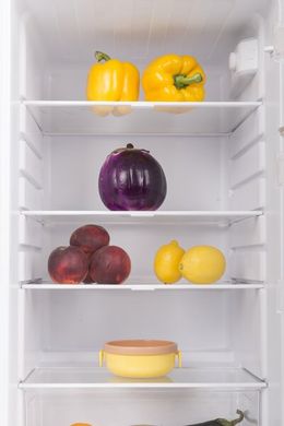 Холодильник Ergo MR-145