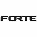 FORTE logo