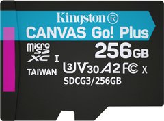 Карта памяти Kingston microSDXC 256GB Canvas Go+ U3 V30 (SDCG3/256GBSP)