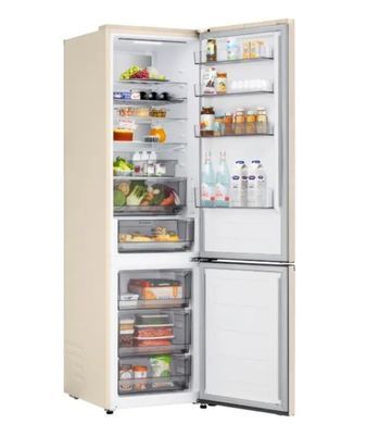 Холодильник LG GC-B509EESM