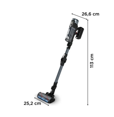 Пилосос Rowenta RH9C71E0