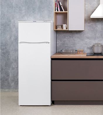 Холодильник Snaige FR250-1101AA-00LTJ0A