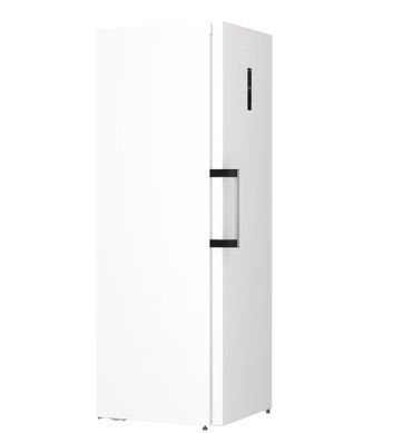 Холодильник GORENJE R 619EAW 6 (HS4168SEB)