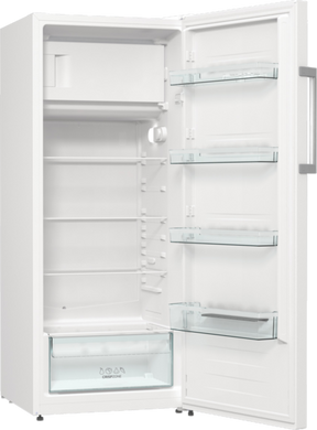 Холодильник Gorenje RB 615FEW5