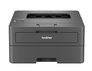 Принтер Brother HL-L2442DW (HLL2442DWYJ1)