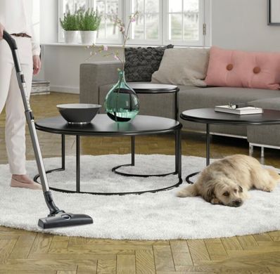 Пилосос Electrolux ESPC72RR