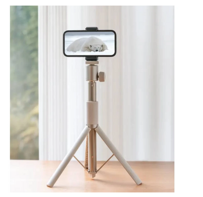 Підставка для проекторів XGIMI Portable Stand Light Gold (T011R)