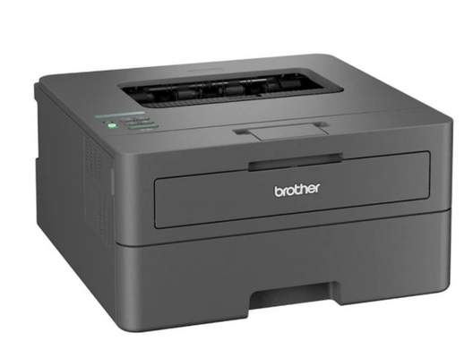 Принтер Brother HL-L2442DW (HLL2442DWYJ1)