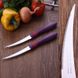 Набор ножей для томатов Tramontina COR & COR, 102 мм, 2 шт. (23462/294) фото 4