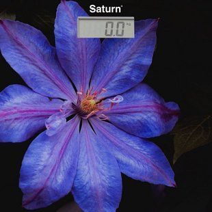 Ваги Saturn ST-PS0287