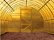 Пленка тепличная – 12СТ 1500мм, 100мкм, 100м желтая (Werk) фото 3