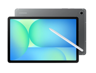 Планшет SAMSUNG SM-X520N Galaxy Tab S10 FE WiFi 12/256Gb ZAP (gray)