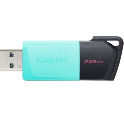 Флеш-память USB Kingston DT Exodia M 256GB Black + Teal USB 3.2 (DTXM/256GB)