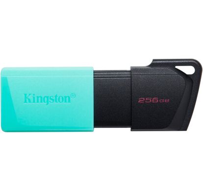 Флеш-пам'ять USB Kingston DT Exodia M 256GB Black + Teal USB 3.2 (DTXM/256GB)