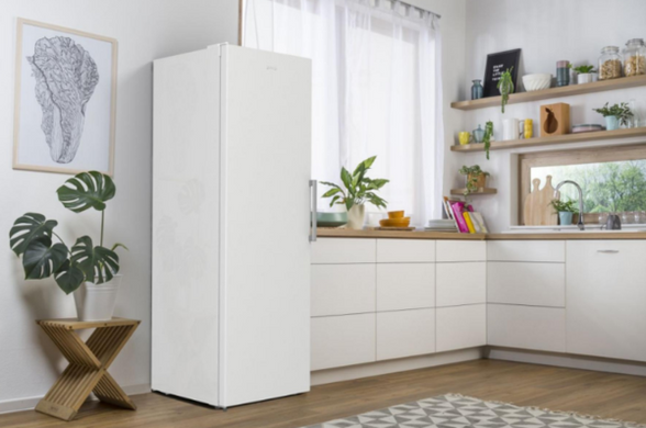 Морозильная камера Gorenje FNP 619 EEW5L (ZOF3168SBD)