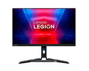 Монитор LENOVO R25i-30 Raven Black (67B7GACBUA)