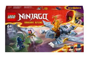 Конструктор LEGO Ninjago Молодой дракон Рию