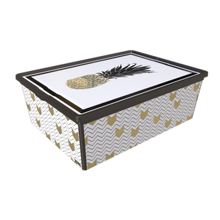 Контейнер Qutu Trend Box Pineapple Life, 25 л