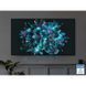 Телевизор SAMSUNG QE77S95DAUXUA фото 11