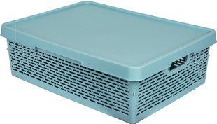 Корзина с крышкой Qutu Q-Basket Green 36л