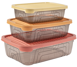 Набор контейнеров Herevin Rectangular Storage Bowl Set-2024 Colours, 0.35/0.6/1.05 л (163330-150)