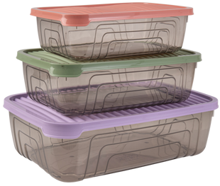 Набор контейнеров Herevin Rectangular Storage Bowl Set-2024 Colours, 1.05/1.75/3.1 л (163332-150)